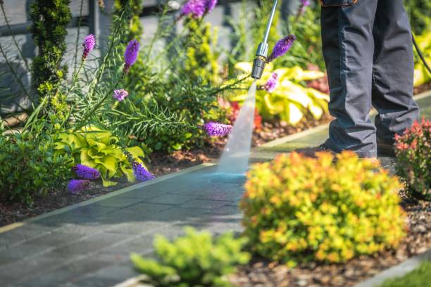 Best Restaurant Pressure Washing  in Soap Lake, WA